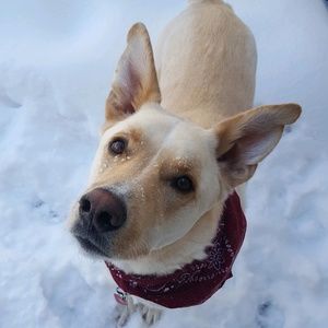 Meet your Posher, Tory